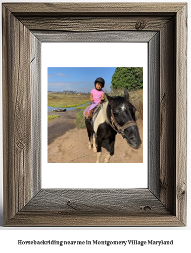 horseback riding near me in Montgomery Village, Maryland